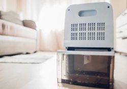 razvlažilec za sobo